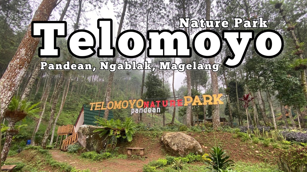 Telomoyo Nature Park: Menjelajahi Pesona Alam Jawa Tengah